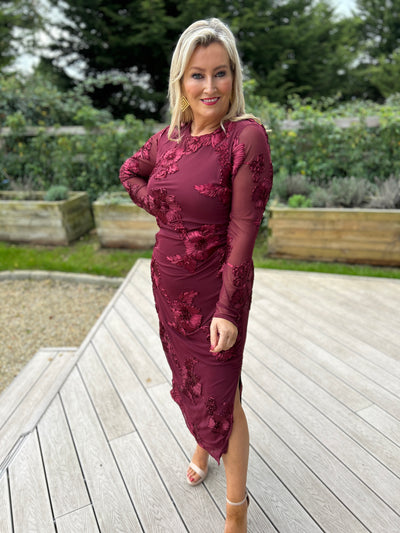 Elodie Mesh Dress Burgundy