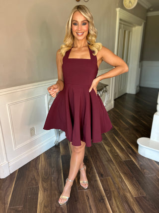 Pandora Mini Dress in Wine Red