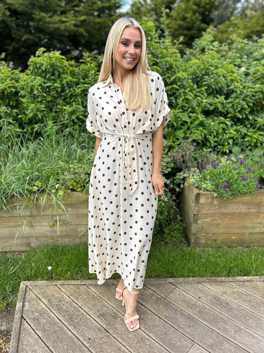Meredith Polka Dot Dress