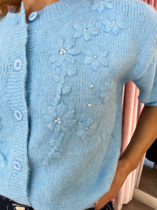Rosette Knit Blue