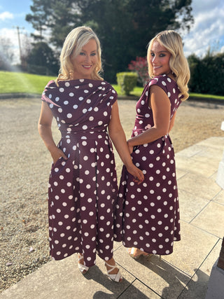 Betty Skater Dress Berry Spot