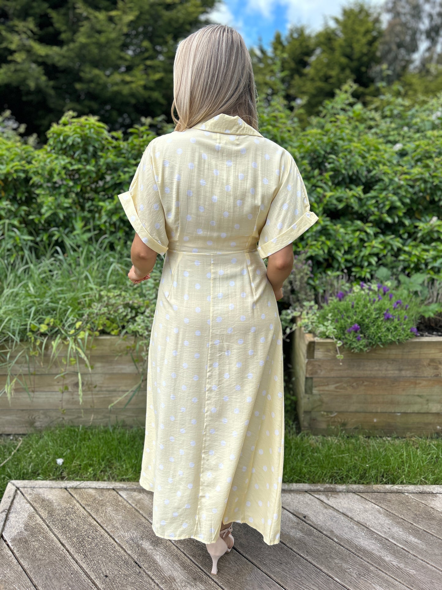 Meredith Polka Dot Dress Yellow