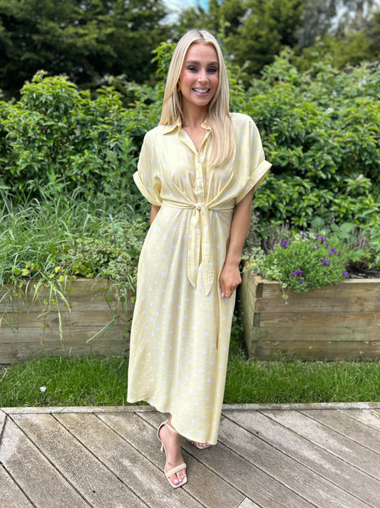 Meredith Polka Dot Dress Yellow