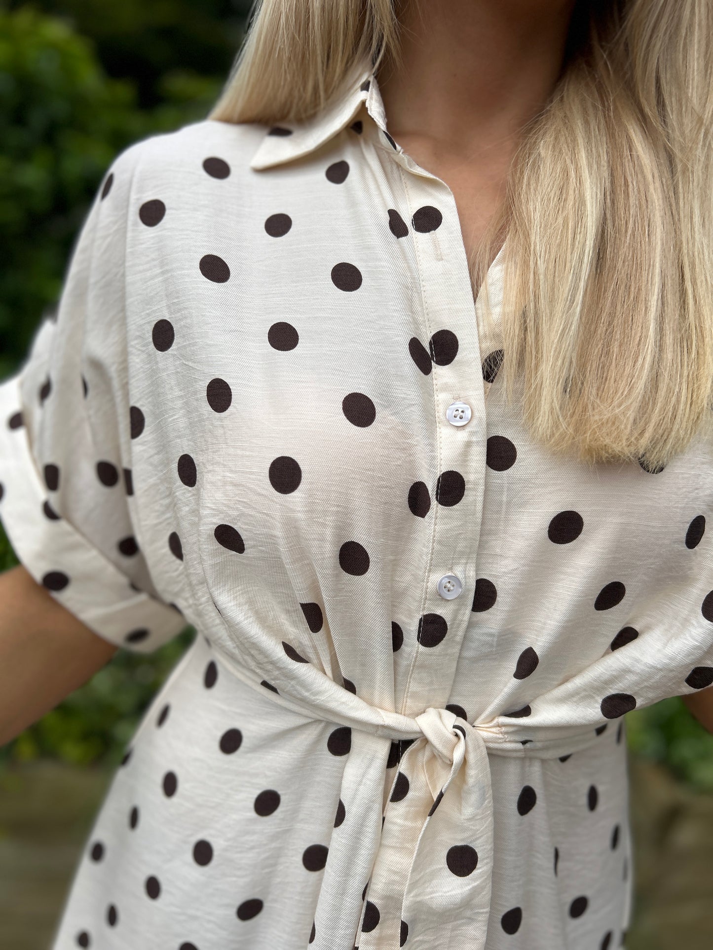 Meredith Polka Dot Dress