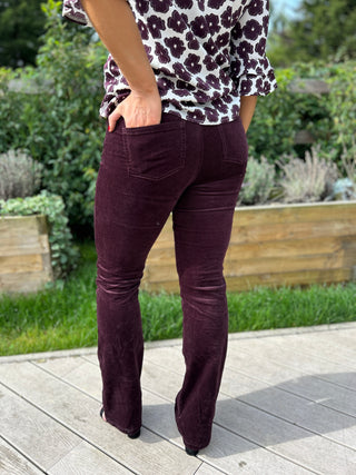 Edelle Bootcut Cord Short