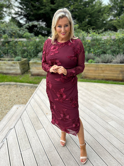 Elodie Mesh Dress Burgundy