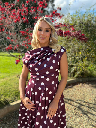 Betty Skater Dress Berry Spot