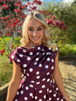 Betty Skater Dress Berry Spot