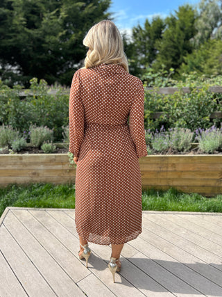 Kaya Polka Dot Dress