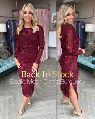 Elodie Mesh Dress Burgundy