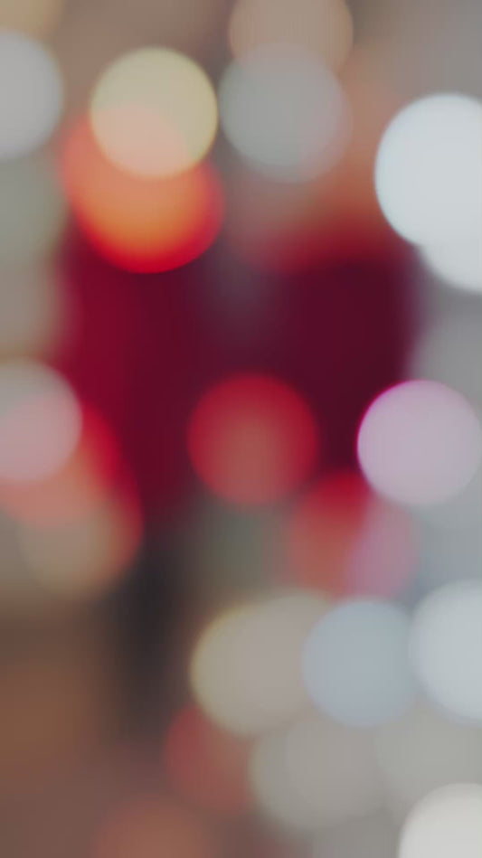 Meg Burgundy Velvet Dress