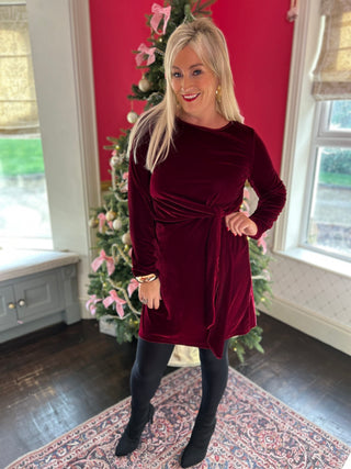 Meg Burgundy Velvet Dress  - Image 3