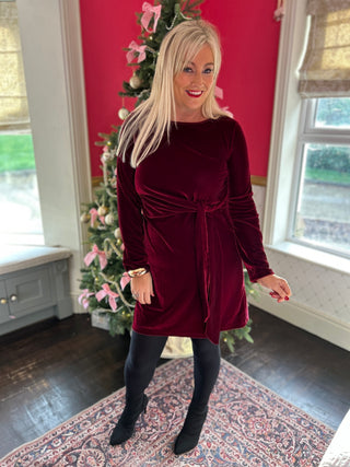 Meg Burgundy Velvet Dress  - Image 5