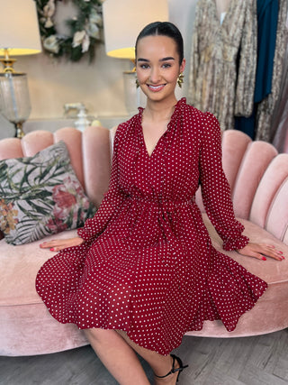 Zoe Red Polka Dot Dress