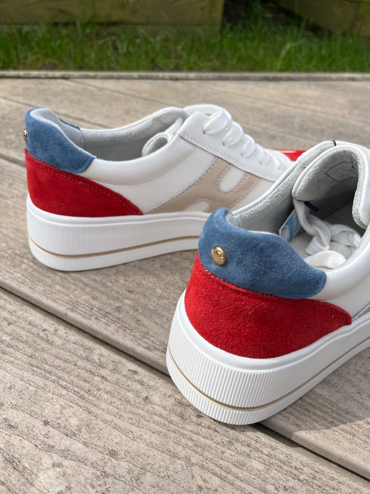 Darla Rose Trainer - Image 5