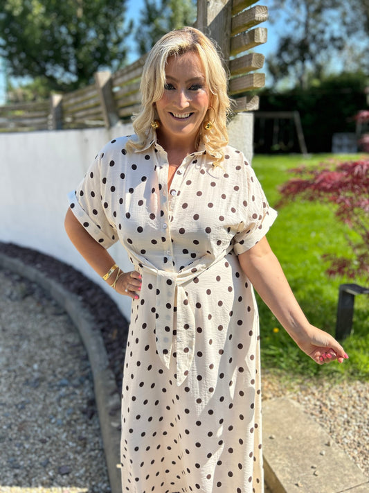 Meredith Polka Dot Dress - Image 1