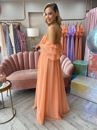 Alexandria Peach Maxi Dress